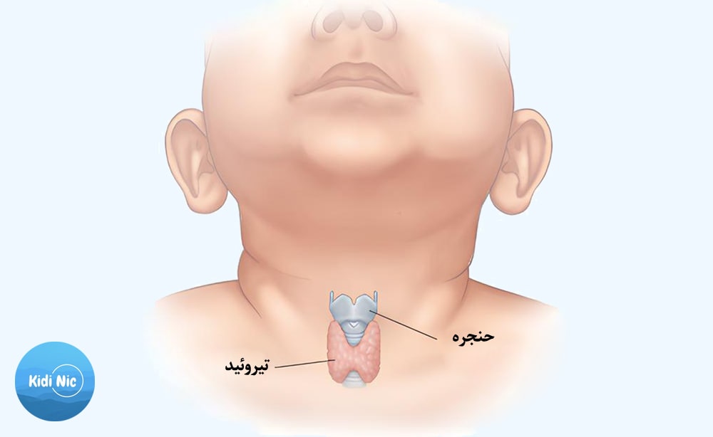 مشکلات تیروئید 