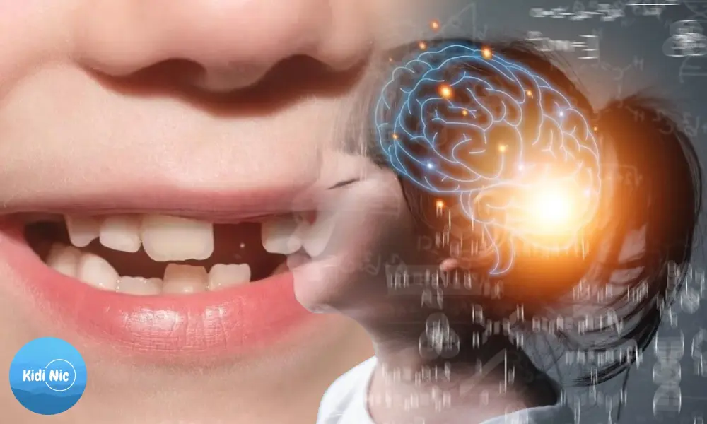 تأثیر افتادن دندانهای بالا بر هوش