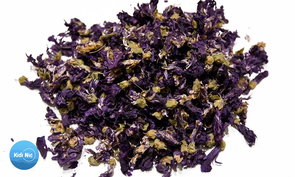دمنوش گیاه پنیرک
